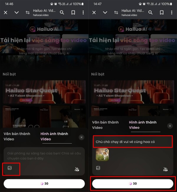 Chọn Hình ảnh thành video và nhập mô tả cho video