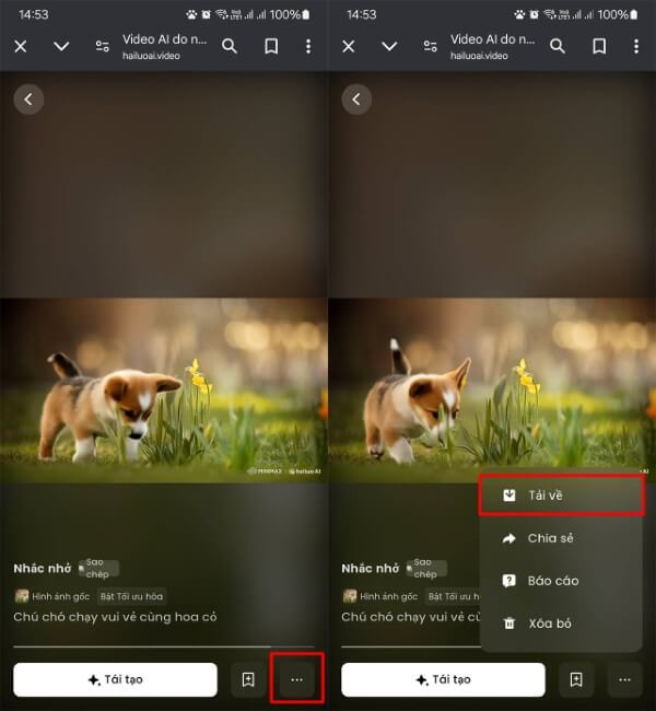 Chọn Tải về để lưu video vào thiết bị