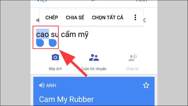 Nhấn giữ đoạn văn bản muốn sao chép