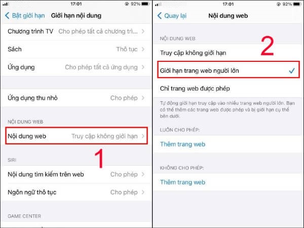 Chọn Giới hạn trang web người lớn