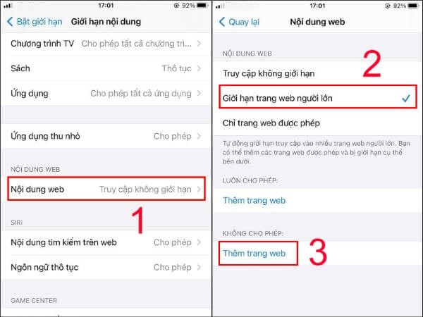 Chọn Nội dung web > Giới hạn trang web người lớn