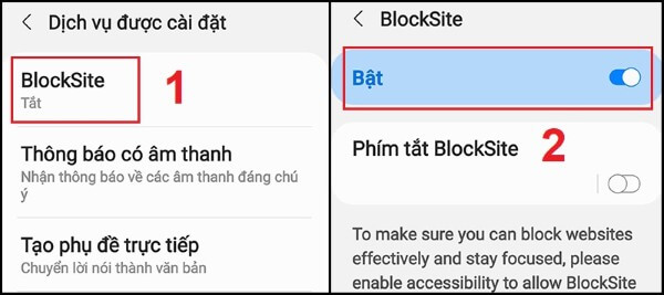Nhấn Bật mục BlockSite