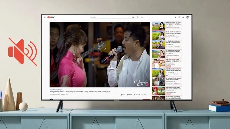 Do người dùng vô tình nhấn nhầm nút Mute trên điều khiển