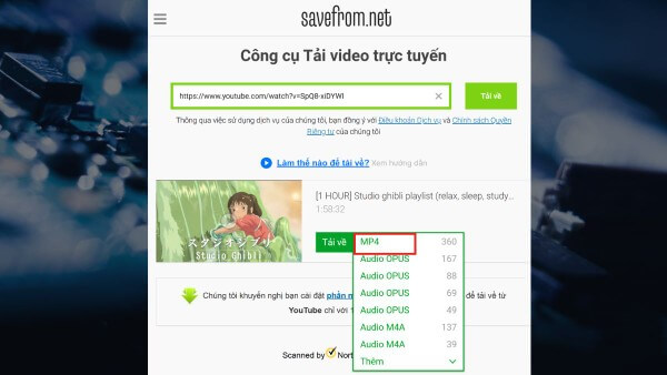 Dán link video vào khung → nhấn Download