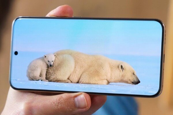 Màn hình realme 14 Pro+ sử dụng tấm nền OLED