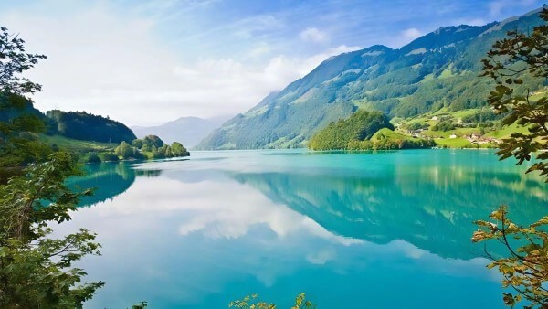 Hình nền đàn cá chép bơi ngược dòng