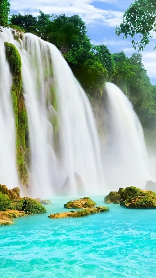 Hình nền cá chép hóa rồng