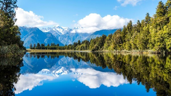 Một số lưu ý khi chọn hình nền cho người mệnh Mộc