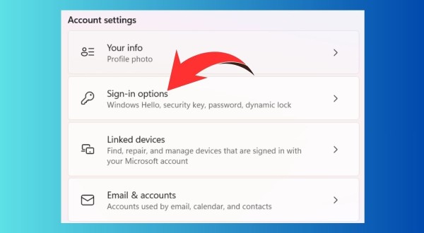 Chọn Sign-in options