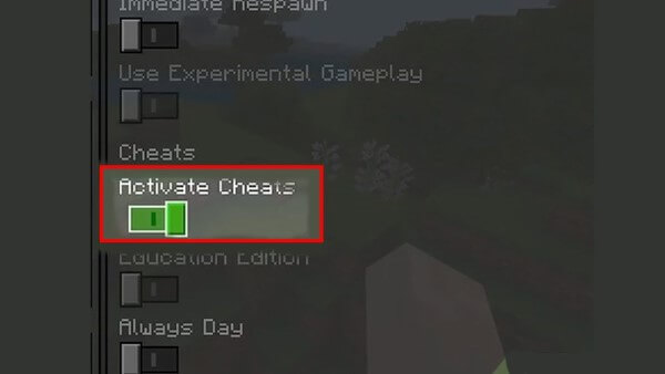 Bật công tắc Activate Cheats 