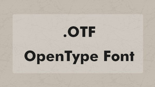 Những đặc điểm gì nổi bật của Font OTF