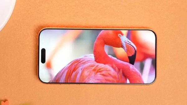 iPhone 17 Pro Max với màn hình OLED hỗ trợ ProMotion 120Hz và HDR10 