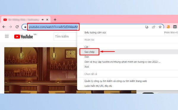 Sao chép đường link video