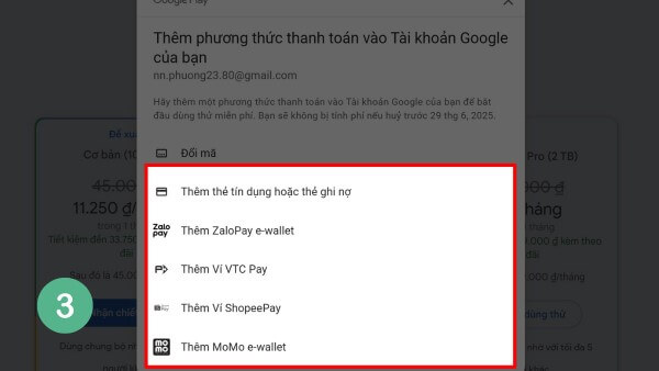 Điền đầy thông tin và chọn phương thức thanh toán