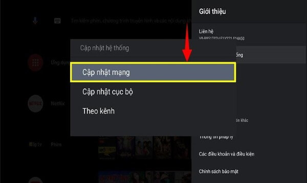Chọn Cập nhật qua mạng