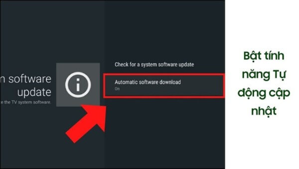 Bật Tự động kiểm tra cập nhật 