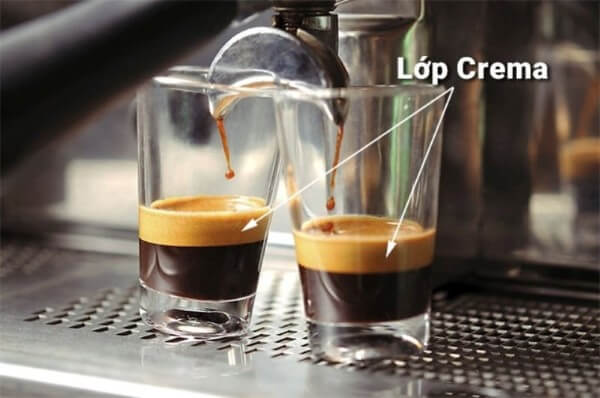 Crema là một lớp bọt mịn nằm trên bề mặt cà phê