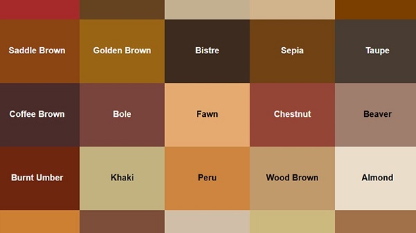 Tổng hợp bảng màu nâu phổ biến trong thiết kế và đời sống