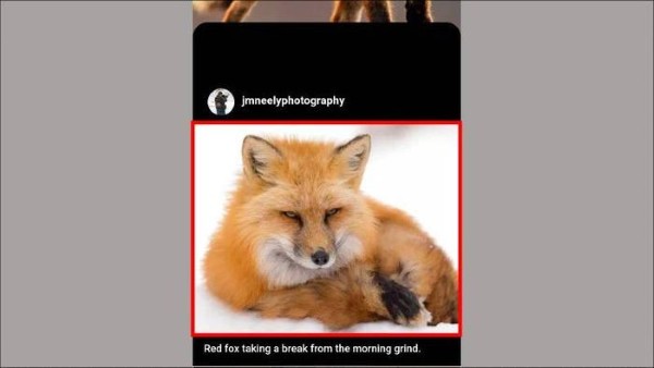 Cắt gọn khu vực hình ảnh cần tìm kiếm