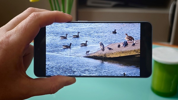 Dưới điều kiện ánh sáng lý tưởng, Galaxy S26 cho ra những bức ảnh tuyệt đẹp