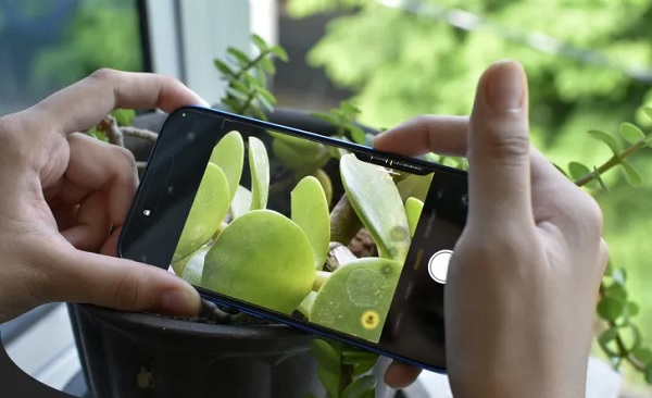 iPhone 16 vẫn chiếm ưu thế nhờ hệ thống camera kép