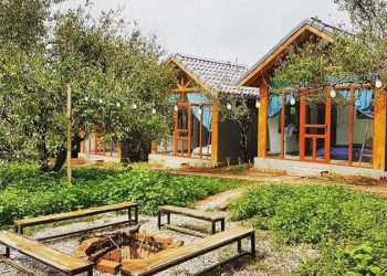 Cách tìm homestay gần đây nhanh chóng, tiện lợi cho mọi chuyến đi