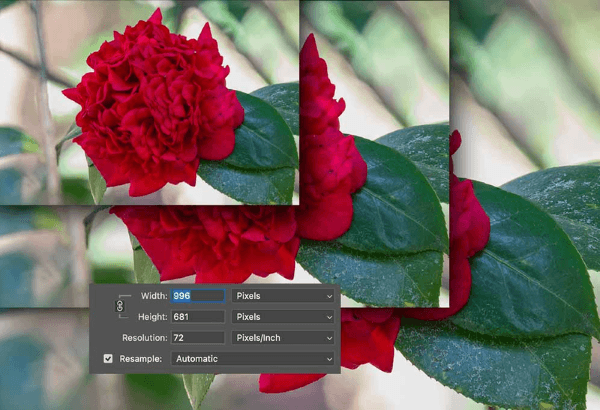 Những trường hợp nên dùng resize