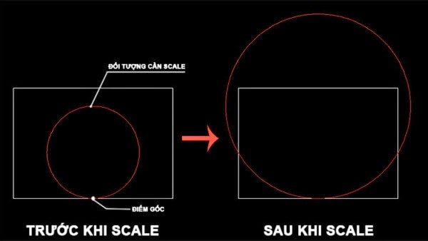 Scale có thể thay đổi tỷ lệ ảnh mà không bắt buộc giữ nguyên tỷ lệ gốc