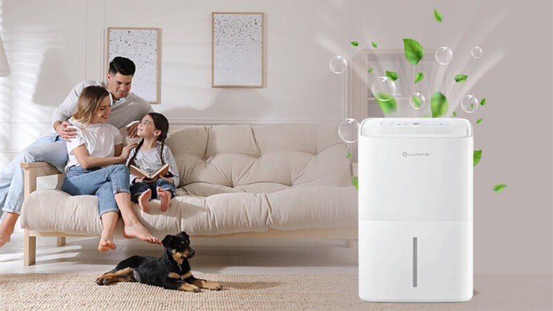 Lumias D6S-60L tích hợp loạt công nghệ và tính năng hiện đại