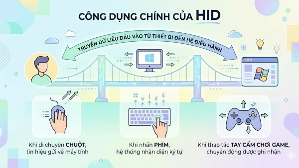 Những công dụng chính của của các thiết bị HID