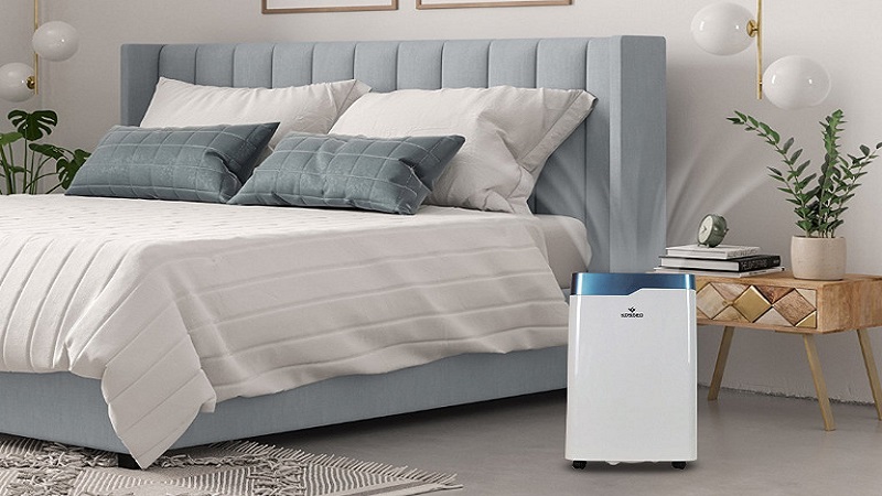 Máy hút ẩm loại bỏ hơi nước dư thừa trong không khí