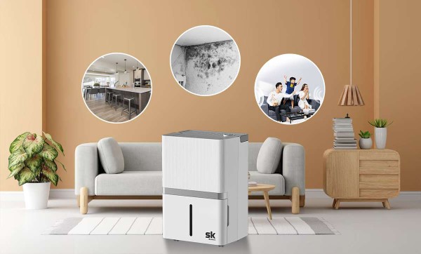 Một số tiêu chí chọn máy hút ẩm phù hợp