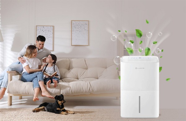 Máy hút ẩm 60L Lumias D6S-60L