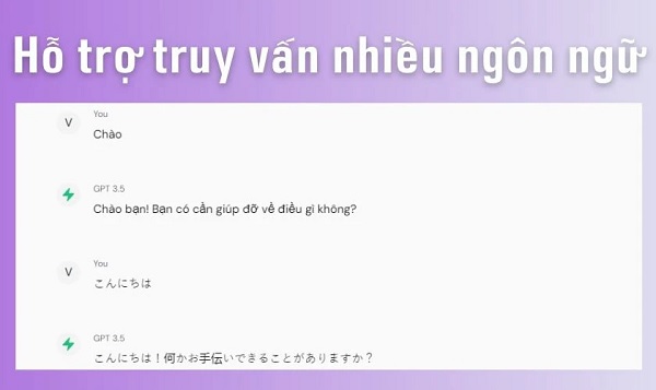 Hỗ trợ nhiều ngôn ngữ