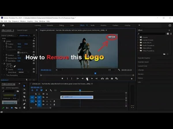 Dùng công cụ Mask hoặc Blur để xóa logo