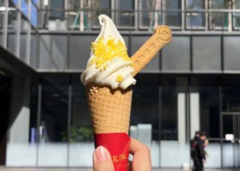 Xiaomi ra mắt sản phẩm kem 3 phiên bản tiêu chuẩn, Pro, Max: Lạ mà quen, gây sốt ngay khi vừa xuất hiện