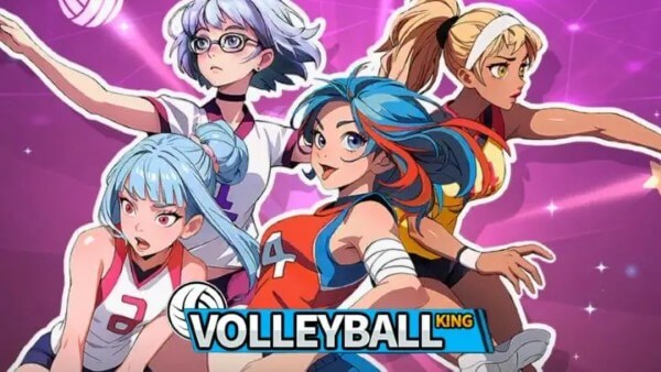 Volleyball King