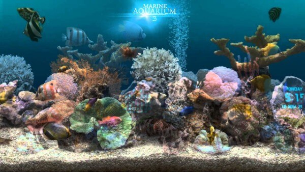 Marine Aquarium