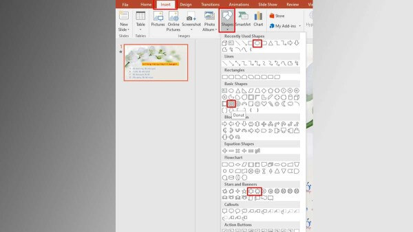 Chọn Insert → Shapes → Oval