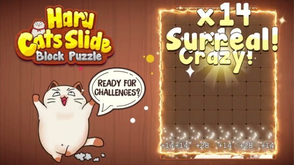 Haru Cats Slide