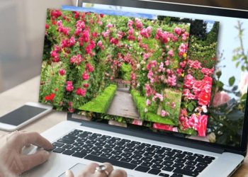 Tổng hợp hình nền máy tính 4K Full HD, đẹp, cute, chill, tải miễn phí