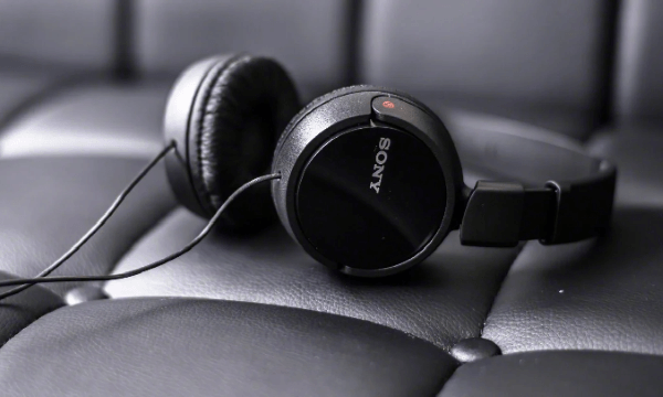 Sony MDR-ZX110AP