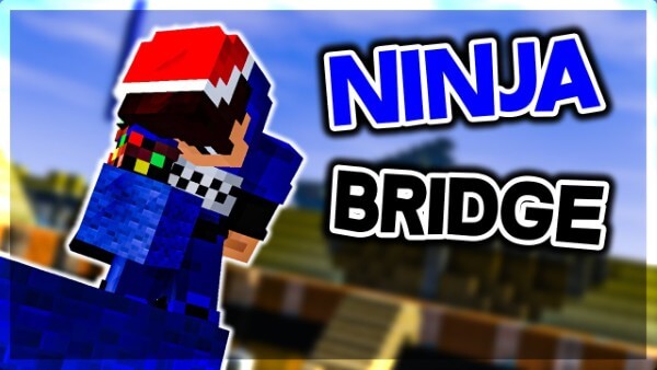 Ninja Bridge