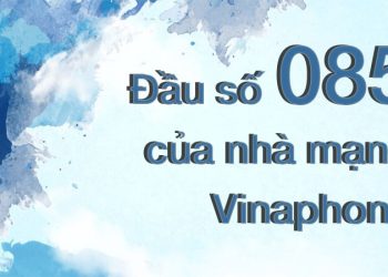 085 là mạng gì? Giải đáp chi tiết và cách nhận biết chuẩn nhất