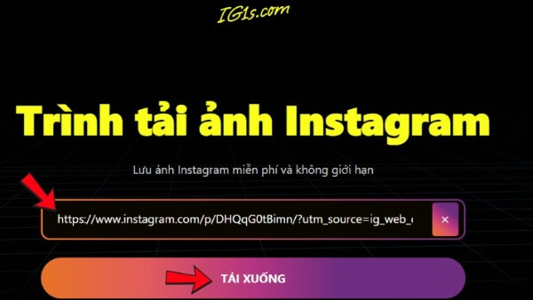 Dán đường link vừa sao chép →i nhấn “Tải xuống”