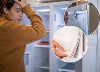 Cách vệ sinh gioăng tủ lạnh sạch mốc, bền lâu tại nhà đơn giản