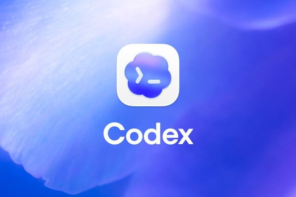 Công cụ Codex phát triển hướng đến nhiều đối tượng người dùng khác nhau
