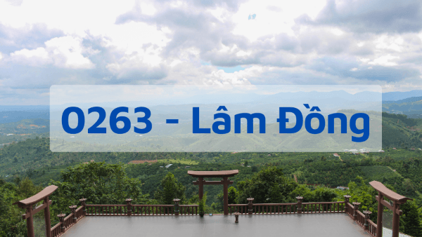 Cách dùng mã vùng cố định Lâm Đồng 0263
