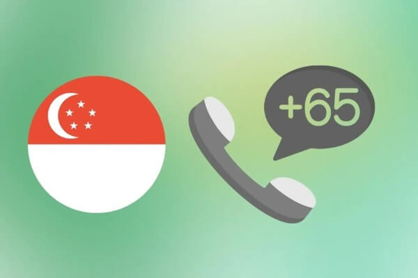 Mã quốc gia +65 sử dụng khi liên lạc giữa Singapore và các nước khác trên thế giới