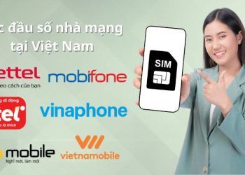 Tổng hợp đầu số điện thoại Việt Nam mới nhất đầy đủ nhà mạng